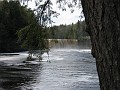 Mackinaw Island Area May 2008 1279